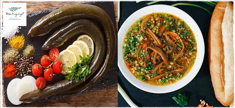 Cháo lươn nấu với rau gì